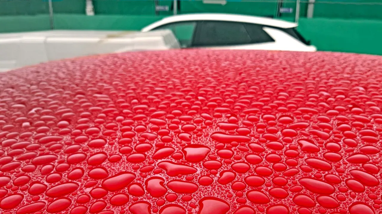 Raindrops beading on a polished car roof